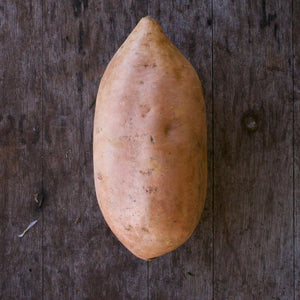 Sweet Potato - Gold